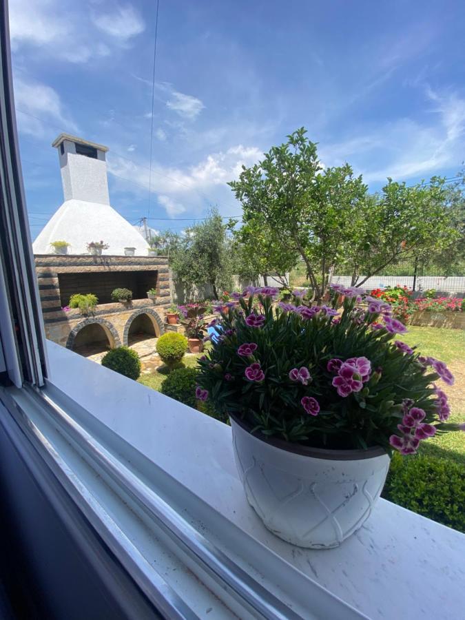 Maison Apartments Vlore Luaran gambar